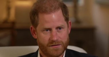 Prince Harry's 'unthinkable security risk' during boys' evening