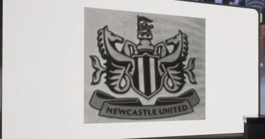 REVEALED: The truth about Newcastle's leaked 'new crest', the two Borussia Dortmund stars on Toon radar and what's really going on with Harvey Barnes swap deal