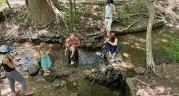 RFK Jr sparks health warning after posting pictures from hike