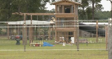 Rare but cute animal battered South Carolina man to death