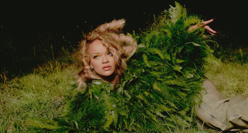 Rihanna camouflages herself as a TREE in a full body twig suit