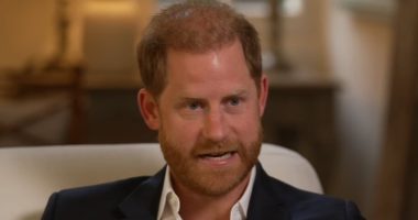 Royal experts question Harry's 'state of mind' after his BBC interview