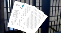 SC representatives say execution was 'botched': letter