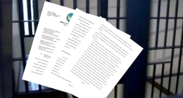 SC representatives say execution was 'botched': letter