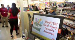 SNAP changes proposed in GOP's 'big, beautiful bill.' Here's what to know