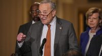 Schumer's batty boat-crash blame: Letters