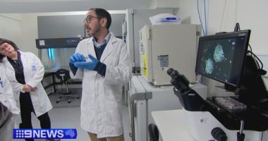 Scientists hope to bring Tasmanian tiger back from extinction in the next decade