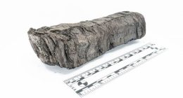 Secret message on ancient scroll finally deciphered