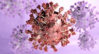 Serious fears as new COVID variant spreads rapidly