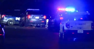 An image collage containing 1 images, Image 1 shows Police cars at night at a crime scene