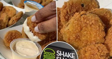 Shake ShackÂ is addingÂ a new side to its menu for the first time everÂ âÂ and fans sayÂ itâsÂ 'perfection'