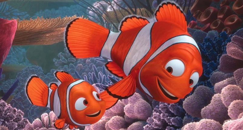 Shocking clownfish fact changes everything about Finding Nemo