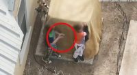 Overhead view of two boys behind a covered object, one appearing to hold a gun.