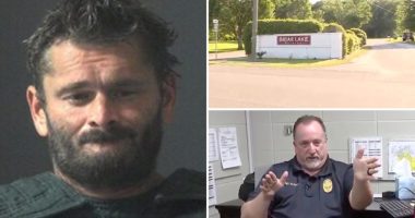 Sick dog owner allegedly cooked Chihuahua in his oven because it wouldn't stop barking