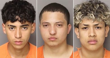 Six illegal migrants charged in South Carolina mother's murder defy 'decency' in 'civilized society': sheriff