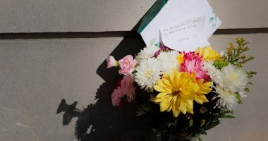 Social media support for accused killers Luigi Mangione, Elias Rodriguez an 'exceptionally bad sign': expert