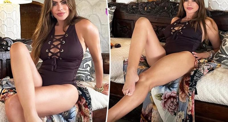 SofÃ­a Vergara is summer-ready in lace-up swimsuit