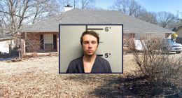 Son shoots mom in face with crossbow over cat comment: Cops
