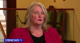 South Australian Greens co-leader quits party, claiming internal sabotage