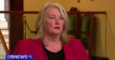South Australian Greens co-leader quits party, claiming internal sabotage