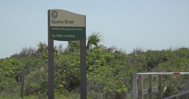 St. Johns County leaders, residents celebrate land swap withdrawal as 'victory'
