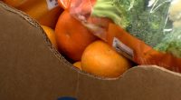 St. Pete non-profit asks community for help to open no-cost market