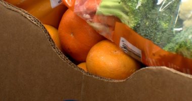 St. Pete non-profit asks community for help to open no-cost market