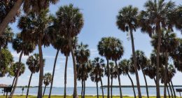 St. Pete ranks No. 1 in Florida, No. 14 nationally for parks