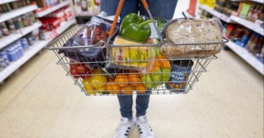 Starmer closes in on EU food trade deal in run-up to key summit
