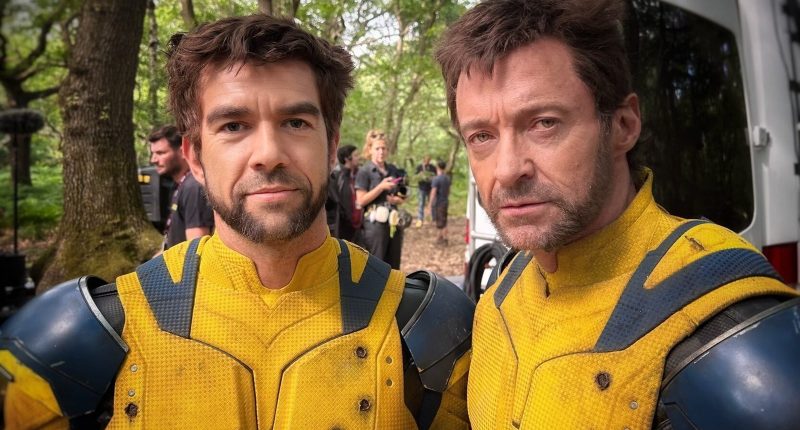 Strict Rules Stunt Performers Have To Follow On Set
