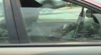 Study shows smartphone feature could help reduce distracted driving