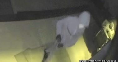 Surveillance video captures Hancock Park burglary in Los Angeles, California while homeowner and kids were sleeping