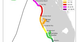 Surviving the storm: A look back at 2024's wild hurricane season