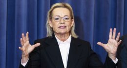 Sussan Ley may last only 'a day' as Liberal leader, party heavyweight jokes