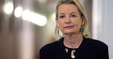 Sussan Ley sets up Liberal leadership battle with Angus Taylor