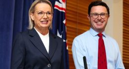 Liberal leader Sussan Ley and Nationals leader David Littleproud at a press conference