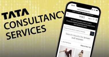 Tata Consultancy Services, M&S website on phone