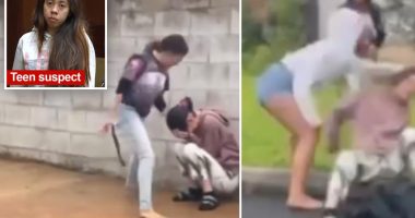 Teen Hawaiian bullies beat, kick 21-year-old with disability: video