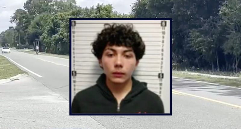 Teen killed Lyft driver who called his mother 'sorry': Cops