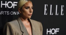 Terrorist Suspect Arrested in Lady Gaga Concert Bombing Plot Recently Deported From the US