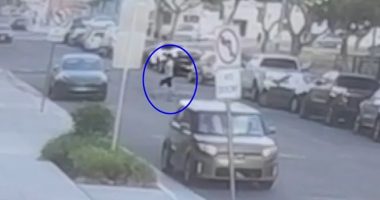 Tesla road-rage driver's alleged attack on mother, daughter in Hawaii caught on video