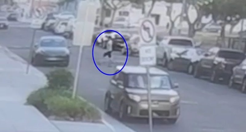 Tesla road-rage driver's alleged attack on mother, daughter in Hawaii caught on video