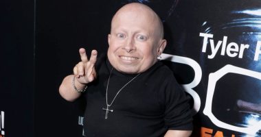 The Harry Potter Character You Didn't Realize Verne Troyer Played
