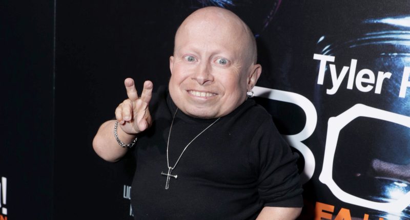 The Harry Potter Character You Didn't Realize Verne Troyer Played