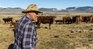 The deep-red state where Trump's trade war hits his truest supporters