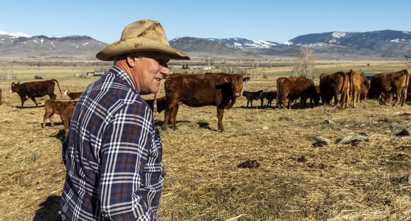 The deep-red state where Trump's trade war hits his truest supporters
