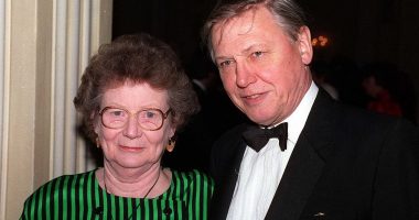 The devastating phone call that ended Sir David Attenborough's world
