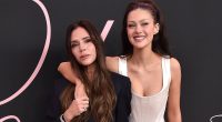 The truth about Nicola Peltz's desperate thirst for fame: KATIE HIND