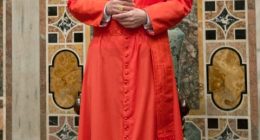 These are the US cardinals who will vote for the next pope