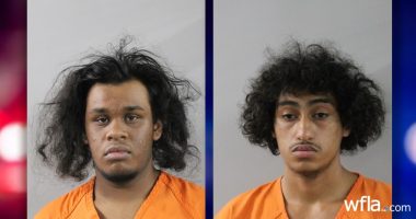 Thieves broke into 20 cars while Polk County residents were 'sleeping peacefully,' sheriff says